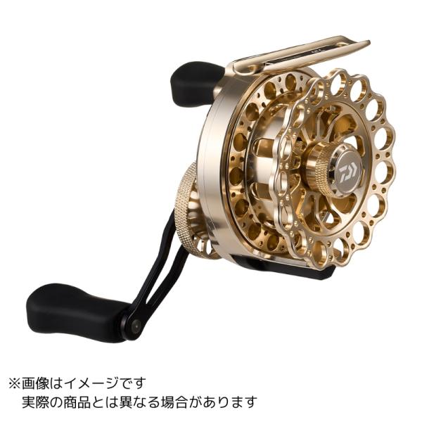 ダイワ 25BJイカダ 65(右)