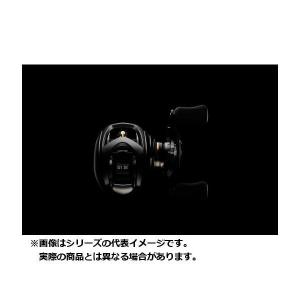 DAIWA（ダイワ） 24スティーズ SV TW 100XHL : つり具の銭屋 - 通販