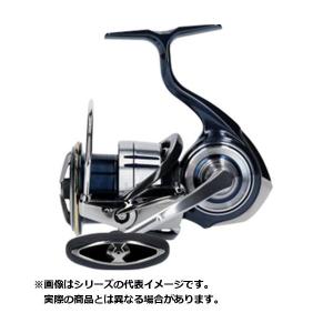 ダイワ 19 セルテート LT3000-XH