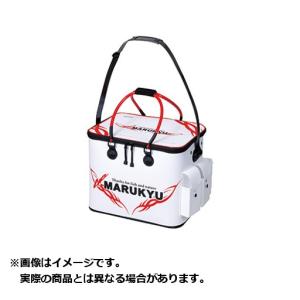 マルキュー バッカン 19 パワーバッカンSLIV