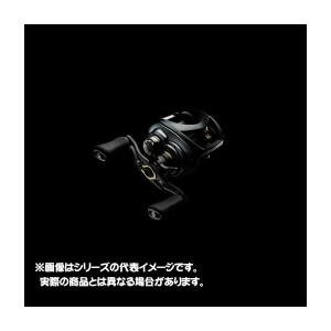 DAIWA（ダイワ） スティーズ CT SV TW (STEEZ CT SV TW) 700XH /ベイト