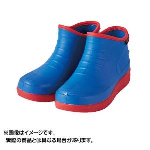 大　在庫限り　ルキア　シューズ　２０　ＦＴＫ５５４　ルキアＥＶＡデッキシューズ　（カラー：ブルー）（サイズ：３Ｌ）
