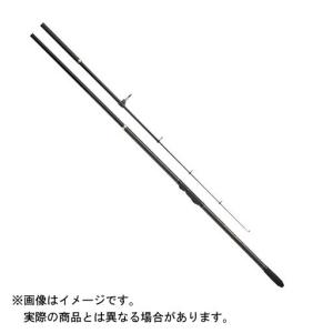 DAIWA（ダイワ） PRIME SURF T (プライムサーフ T) 30号-405・W 【大型