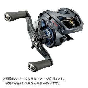 DAIWA（ダイワ） 21 STEEZ(スティーズ) A TW HLC 8.1R(右) : ヨコオ