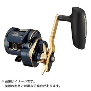 DAIWA(釣り) ダイワ 21 ソルティガ IC 300HL-SJ (左ハンドル DAIWA(釣り) ダイワ 21 ソルティガ IC 300HL-SJ (左ハンドル