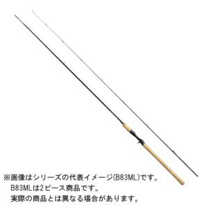 シマノ（SHIMANO） 20 カーディフ ネイティブスペシャル B64L 【大型