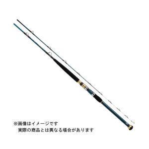 【ご奉仕価格】ダイワ 21 ゴウイン落とし込み S-215・R 【大型商品1】｜tsurigu-yokoo