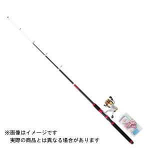 大特価  プロマリン PG わくわくサビキ釣りセットDX 240