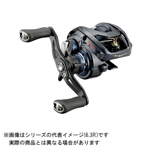 ダイワ 21 STEEZ(スティーズ) A TW HLC 8.1R(右)