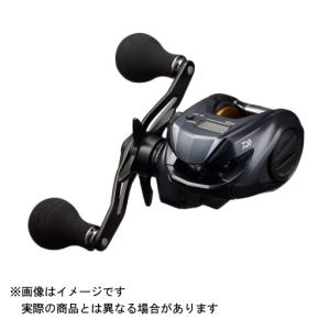DAIWA（ダイワ） 21 TIERRA(ティエラ) A IC 150HL-DH(左) : ヨコオ