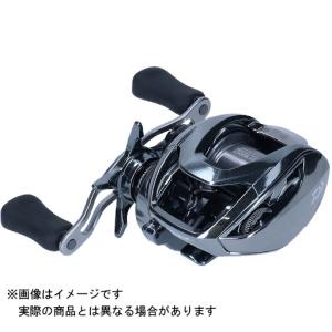 ダイワ 21 スティーズリミテッド　 SV TW 1000HL ダイワ スティーズ リミテッド SV TW 1000S-XHL / DAIWA Steez