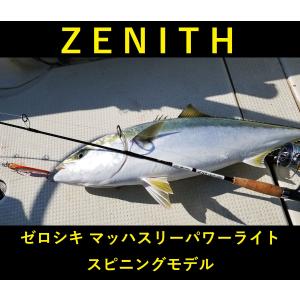 天龍(TENRYU) ジグザム Deep Rider(ディープライダー) JDR581Sー