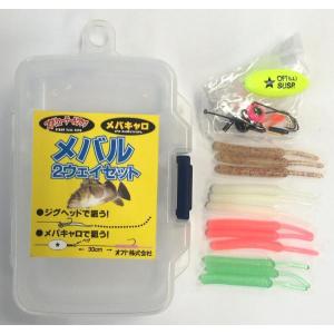 ambassadeur 送料無料 アブガルシア アンバサダー 10000C 1点限り