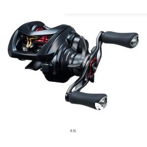 DAIWA（ダイワ） 20 アルファス AIR TW 8.6L / ALPHAS AIR TW ベイト