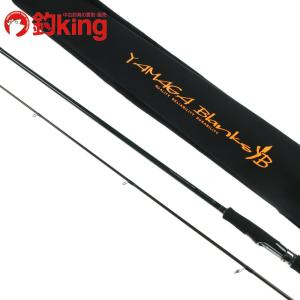 シマノ（SHIMANO） 23 ディアルーナ B80H /I250L 美品 シーバス