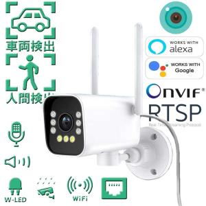 500万画 車両検出・PT回転対応 バレットタイプカメラ 赤外線/白色ダブルLED 自動追尾 WIFI/有線LAN 防水屋外ネットワークカメラ