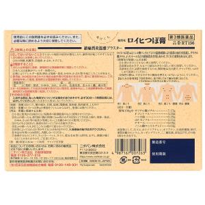 【第3類医薬品】ニチバン ロイヒつぼ膏 (15...の詳細画像1