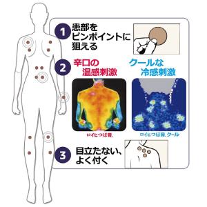 【第3類医薬品】ニチバン ロイヒつぼ膏 (15...の詳細画像4