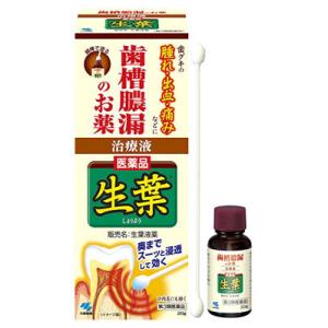 【第3類医薬品】小林製薬　生葉液薬（しょうようえきぐすり）　液体20ｇ、綿棒30本｜tsuruha