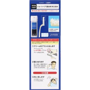ホーユー メンズビゲン ワンプッシュ 7 ナチ...の詳細画像3