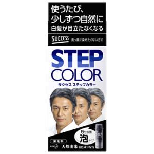 サクセスブラック ふんわり仕上がるカラートリートメント 約7回分 白髪