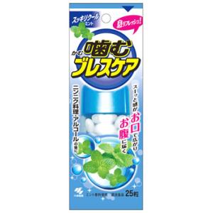 小林製薬 噛むブレスケア スッキリクールミント (25粒) 口中清涼剤　※軽減税率対象商品