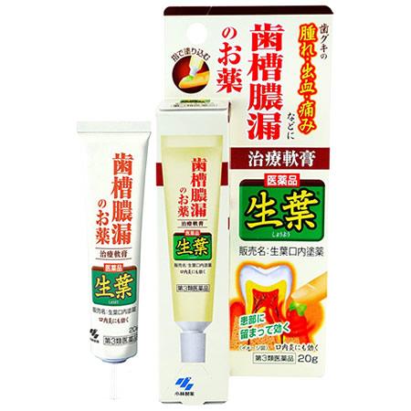 【第3類医薬品】小林製薬 生葉 口内塗薬 (20g) 歯痛・歯槽膿漏薬