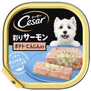 マースジャパン シーザー トレイ 成犬用 彩りサーモン ポテト・にんじん入り (100g) ドッグフード ウェット｜tsuruha