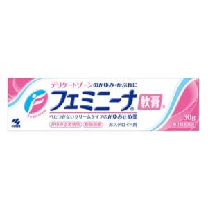 【第2類医薬品】小林製薬　フェミニーナ軟膏S　(30g)　【セルフメディケーション税制対象商品】