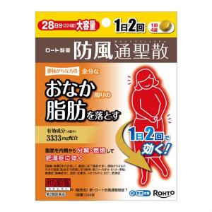 【第2類医薬品】ロート製薬 和漢箋 新・ロート防...の商品画像