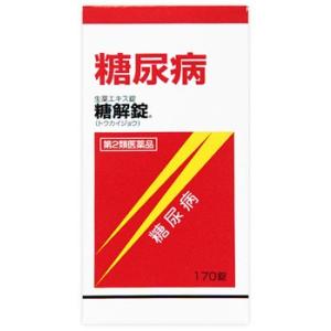 【第2類医薬品】摩耶堂製薬　糖解錠　(170錠)　糖尿病｜ツルハドラッグ ヤフー店