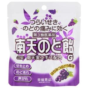 【第3類医薬品】常盤薬品　トキワ　南天のど飴　G　はちみつぶどう風味　パウチ　(22錠)　のど飴　【セルフメディケーション税制対象商品】｜tsuruha