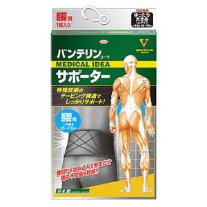興和新薬　バンテリンコーワサポーター　腰用　男女兼用　ゆったり大きめ　LLサイズ　ブラック　(1枚)　サポーター