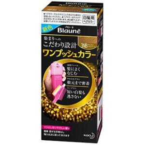 花王　ブローネ　ワンプッシュカラー　3NB　ナチュラリーシフォンベージュ　(1セット)　白髪染め　医...