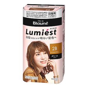 ブローネ ルミエストヘアカラー クリーム 2A スタイリッシュアッシュ