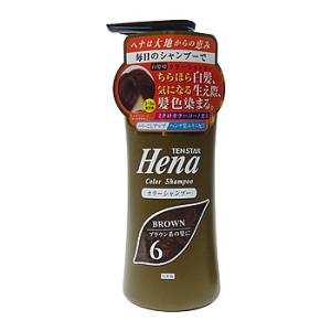 三宝商事 テンスター カラーシャンプー 6 ダークブラウン (300mL) カラーシャンプー ノンシリコンシャンプー