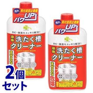 くらしリズム 液体 洗たく槽クリーナー ×2個セット 洗濯槽用洗浄剤