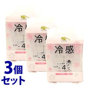 《セット販売》 くらしリズム 冷感ボディシート ...の商品画像