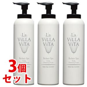 La ViLLA ViTA（ラ・ヴィラ・ヴィータ） リ・ヘア シャンプー S