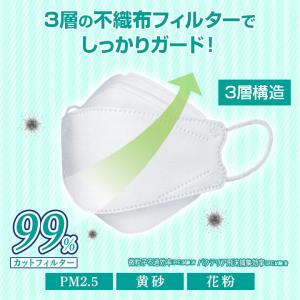 《セット販売》 医食同源ドットコム isDG ...の詳細画像5