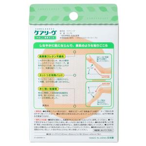 《セット販売》 ニチバン ケアリーヴ ビッグサ...の詳細画像1