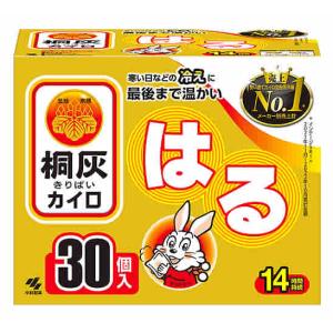 小林製薬 桐灰カイロ マグマ 貼らない ミニ 10個入×24個セット 小林製薬 マグマ 貼らないカイロ10P 601420 1ケース(240個:10個入×24