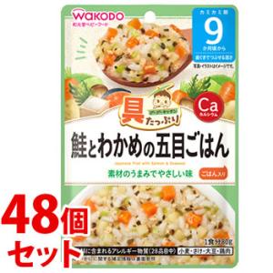 《セット販売》　和光堂 具たっぷりグーグーキッチン 鮭とわかめの五目ごはん (80g)×48個セット...