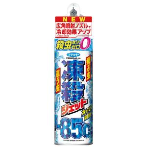 フマキラー 凍殺ジェット (300mL) 殺虫剤 殺虫スプレー ムカデ カメムシ クモ アリ｜tsuruha