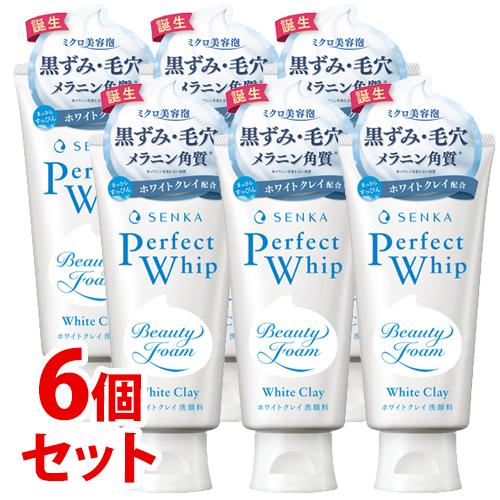 《セット販売》　ファイントゥデイ 洗顔専科 パーフェクトホイップ ホワイトクレイ (120g)×6個...