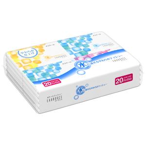 大王製紙 エリエール オーデュス 水に流せるポケットティシュー (20枚(10組)×20パック) ポケットティッシュ