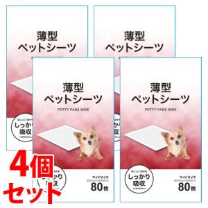 くらしリズム 《セット販売》 デオドラント ハイパーシーツ R