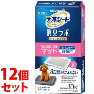 くらしリズム 《セット販売》 デオドラント ハイパーシーツ R