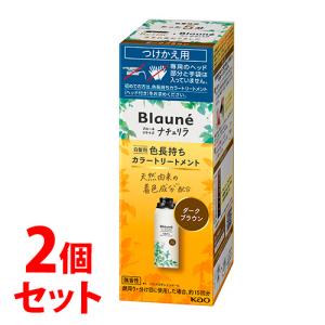 花王 ブローネ ナチュリラ 色長持ちカラートリートメント つけかえ