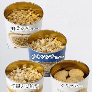 国内最長 25年保存 非常食 サバイバルフーズ...の詳細画像1